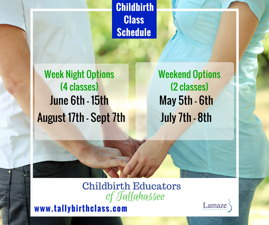 TallyBirthClass's tweet photo. We have classes now scheduled through September 2017! https://t.co/7DNXufd52a  #getreadyforbaby #tallybirthclass #tallahassee #pregnancy https://t.co/aC8xQvTFz4