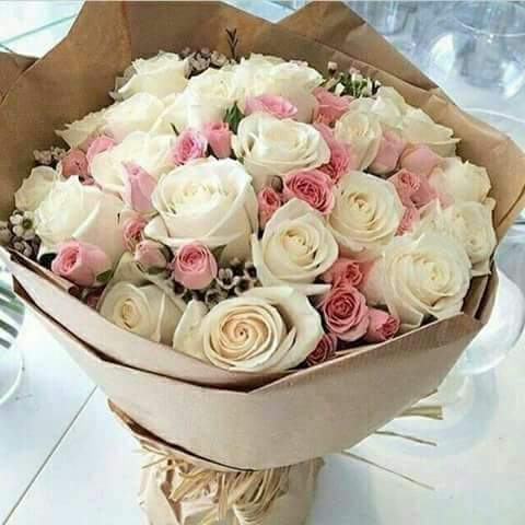 FATATASHRK3N3's tweet photo. @dK2qCVZiXMRqHnY  https://t.co/7mZFp5s6dI