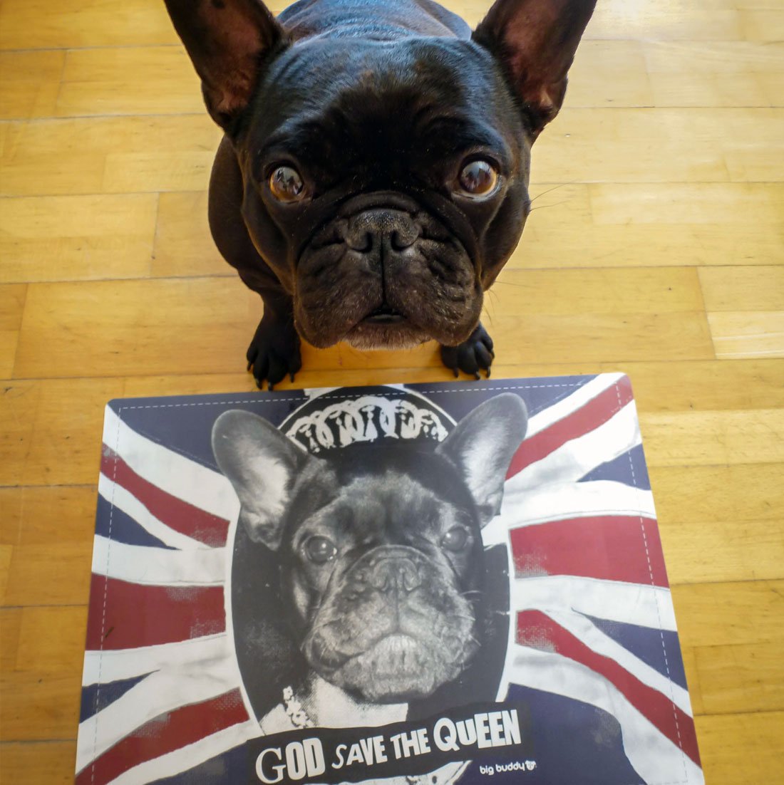 Unsere "God Save The Queen" Futtermatten sind nun u.a. über #Amazon erhältlich und wurden bereits von Fans getestet goo.gl/GRztRZ