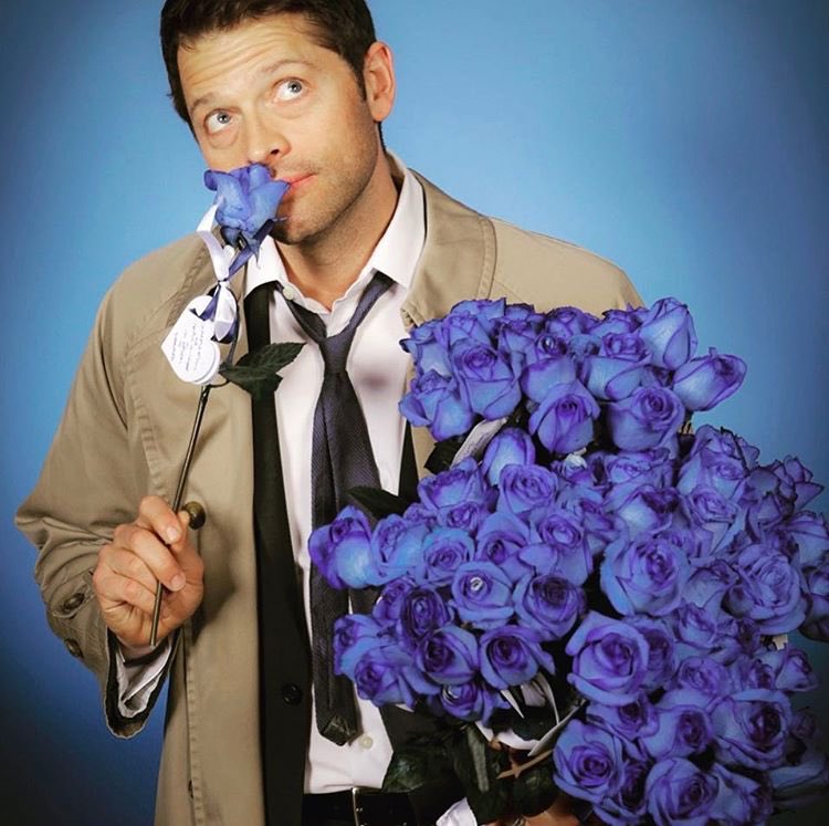 This weekend, fans gave me 100 blue roses—1 for each episode of #Supernatural I’ve worked on. (U guys really know how to make a girl blush.)