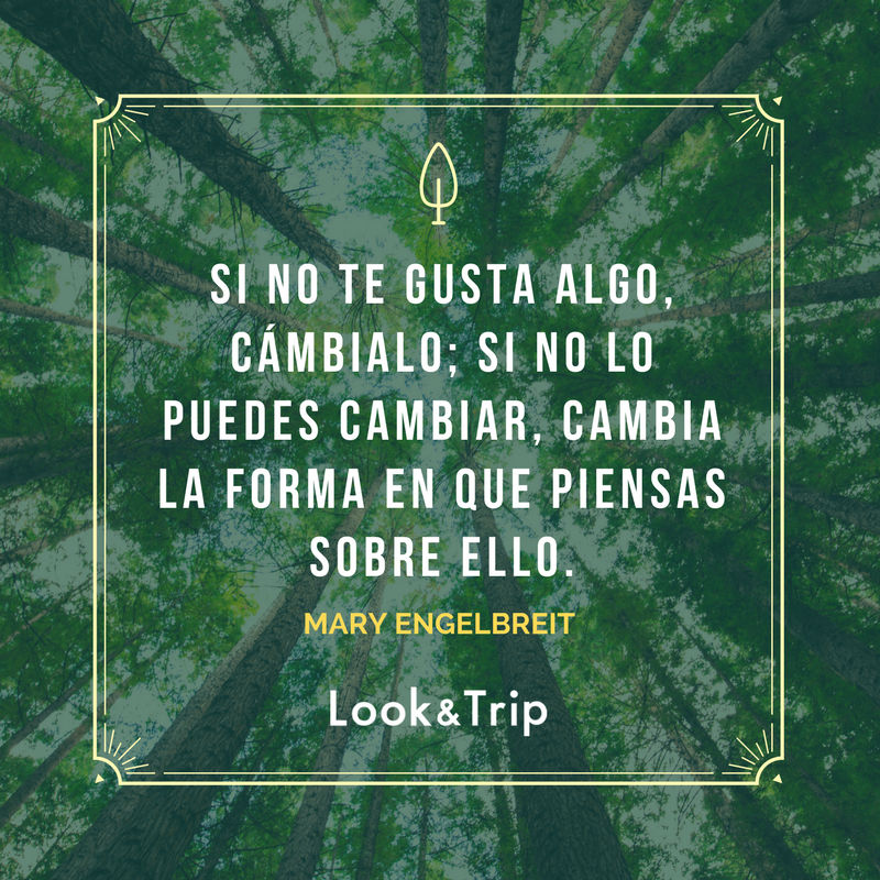 Look and Trip tweet media