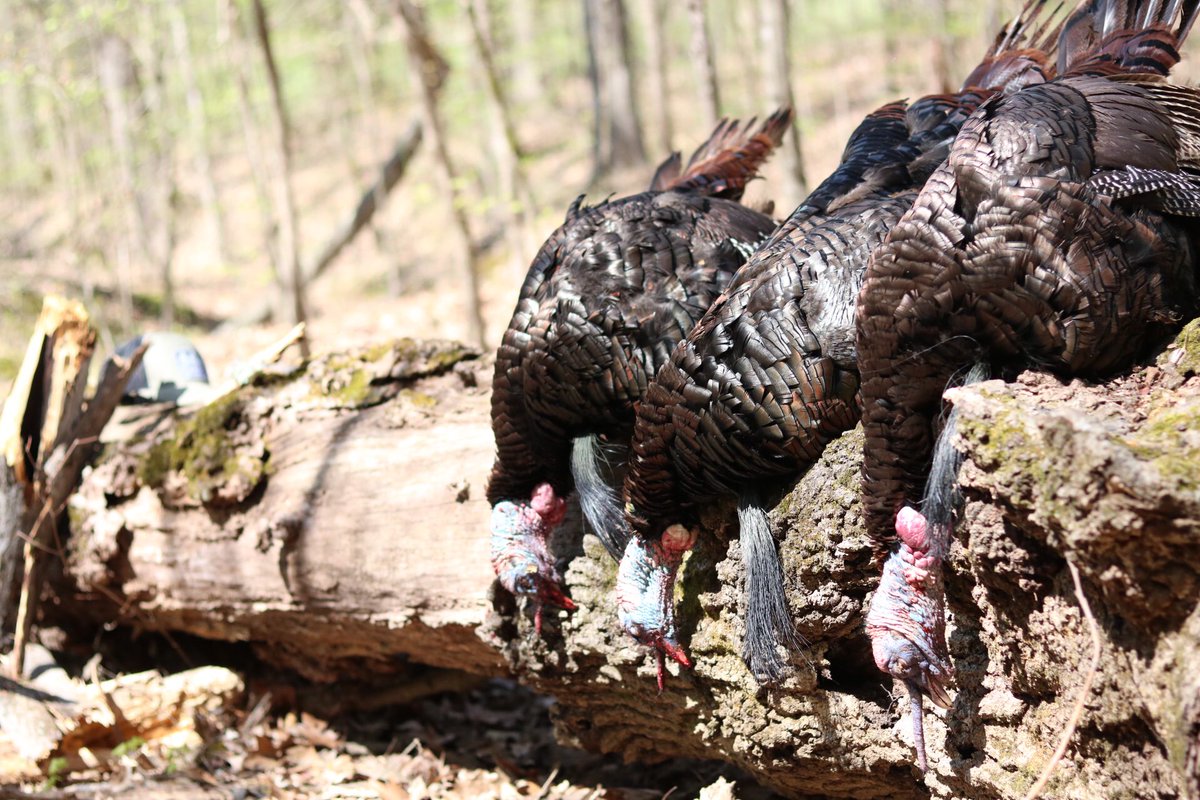 3 strikes and we're out in Arkansas. #powkeepsi #wtr17 #Arkansas