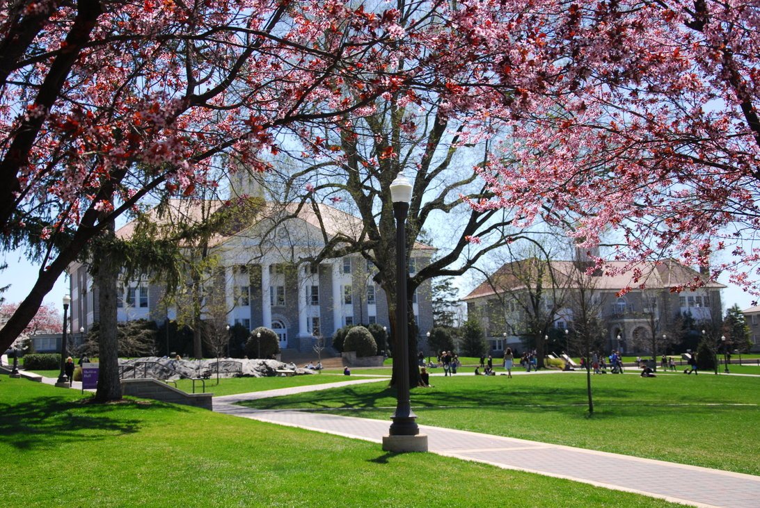 We Especially Miss <a href="/JMU/">JMU</a> in The Spring.  The smell of graduation and future <a href="/JMUAlumni/">JMU Alumni Assoc.</a> is in the air! #JMUlove #412JMU