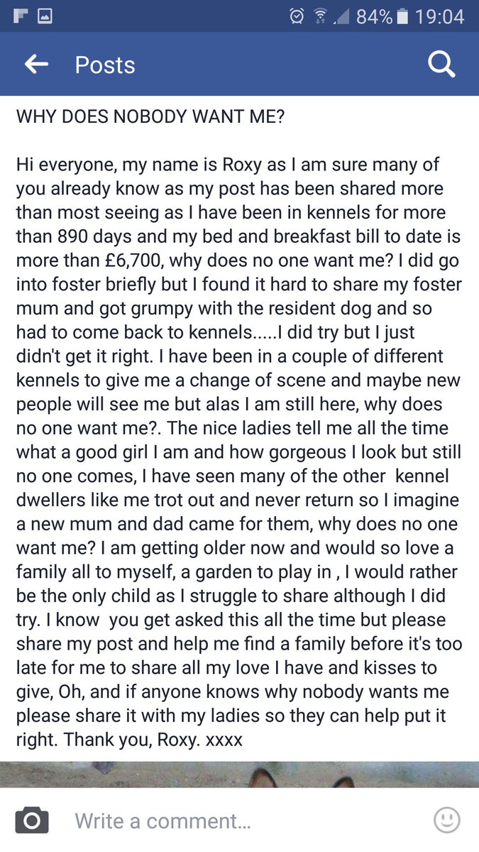 gsrescueelite's tweet photo. 890 days in kennels for Roxy π’
Sweet girl who needs a chance β€
#germanshepherd
#dogs
#cornwall
https://t.co/oHD5NSFmwf https://t.co/PZvJuialbZ