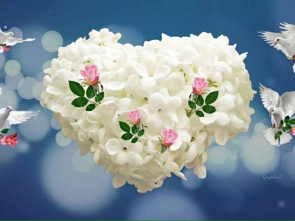 TanjaThiel's tweet photo. @angel_eric56 😘💖💕💋 https://t.co/y79UqCpkmq