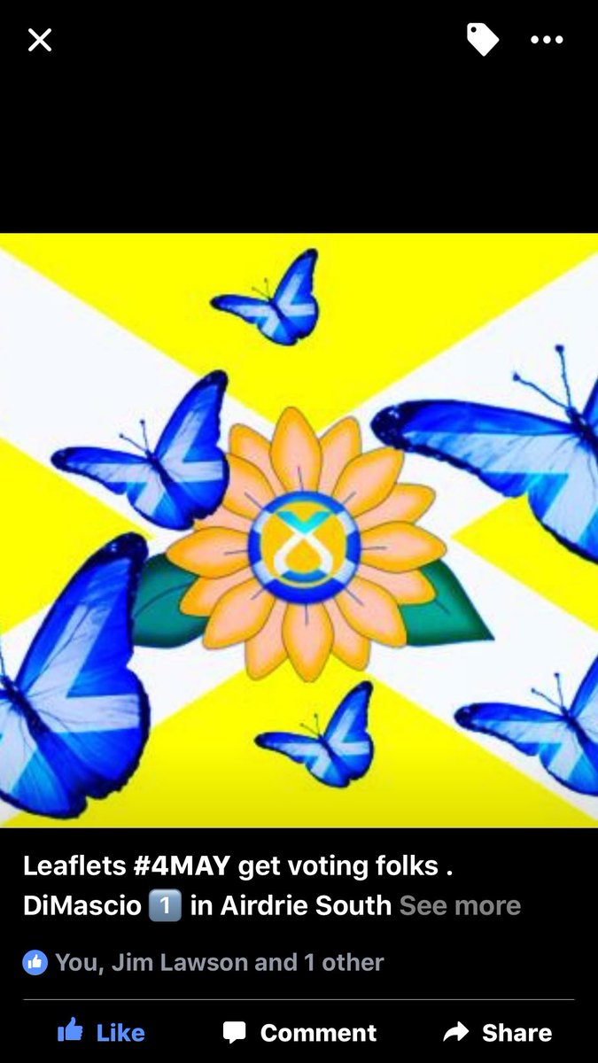 PaulDiMasci0's tweet photo. Some great work carried out by the team today again in Chapelhall #DiMascio #SNPCouncil17 https://t.co/Pad9pzbKzI