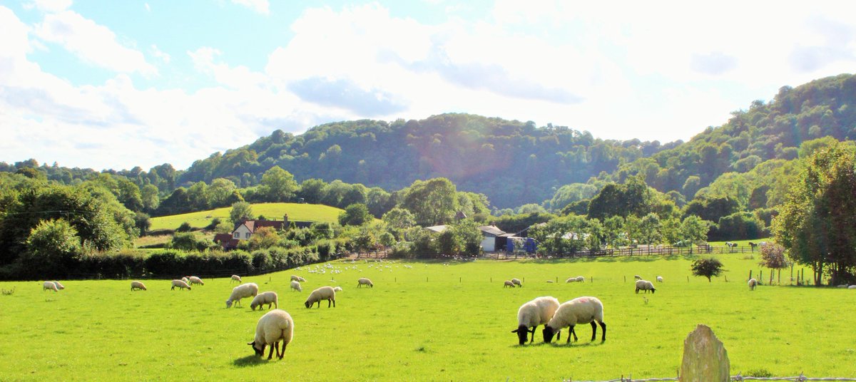 Ashford Farm is open for our fresh home bred lamb, beef and pork on Good Friday and Easter Saturday. For details ashfordfarmturkeys.co.uk