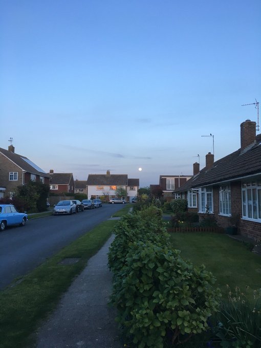 Evening walk. Look at that moon. It's giant and mesmerising. https://t.co/0XvoX2MkOT<a href="/tag/animalcrossing"class="tags"><span>#animalcrossing</span></a><a href="/tag/nintendoswitch"class="tags"><span>#nintendoswitch</span></a><a href="/tag/acnh"class="tags"><span>#acnh</span></a>