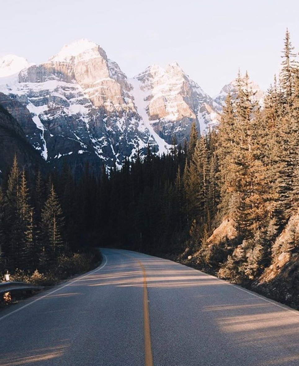 Free People tweet media