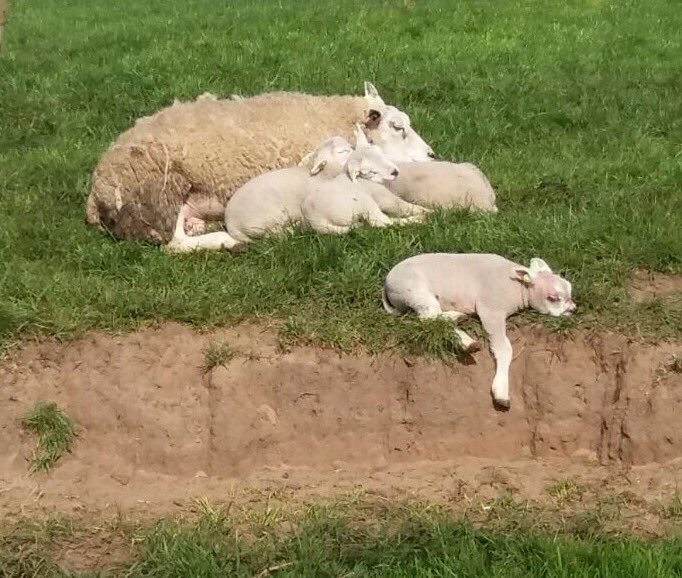Even écht álles vergeten! Héérlijk! #Texel