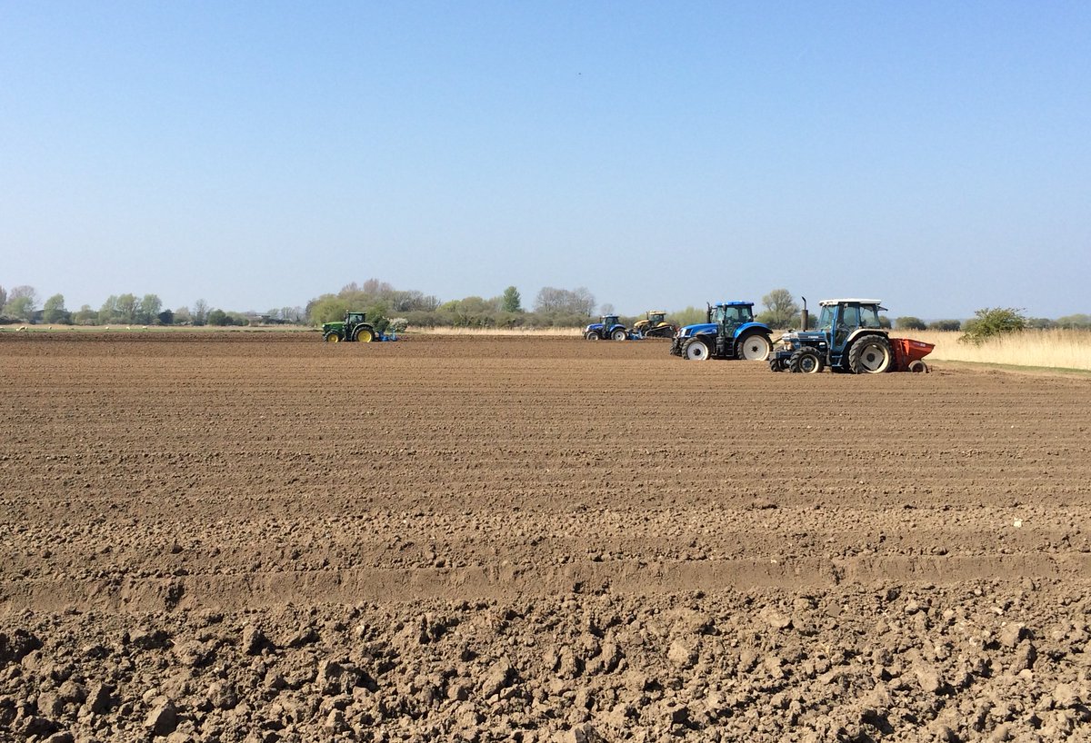 farmlocations's tweet photo. Tutti Frutti tractors #yellow #blue #green #potatoplanting #romneymarsh #farmlocation #props #tractors https://t.co/A3MgCNXss4