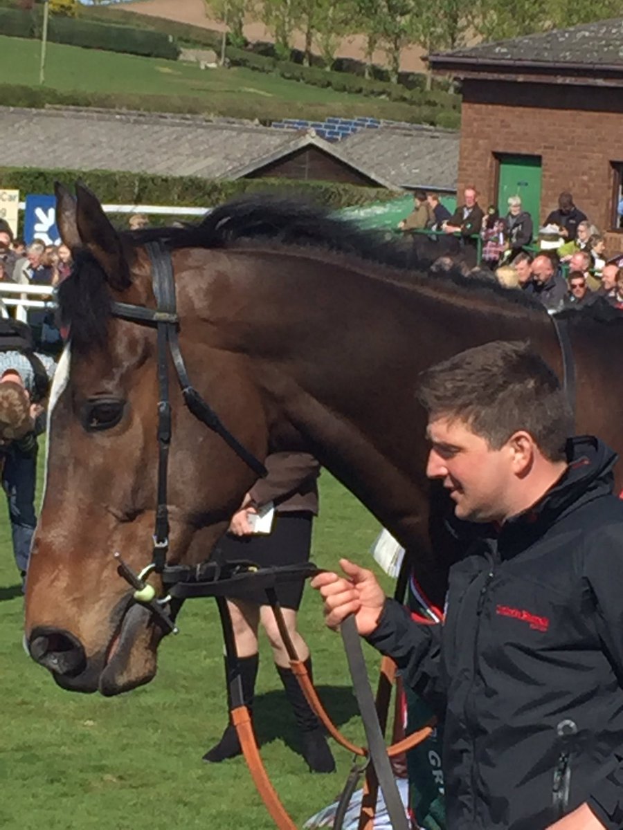 TracyRox11's tweet photo. So excited to see #OneForArthur @KelsoRacecourse today. https://t.co/7onFoGD3Op