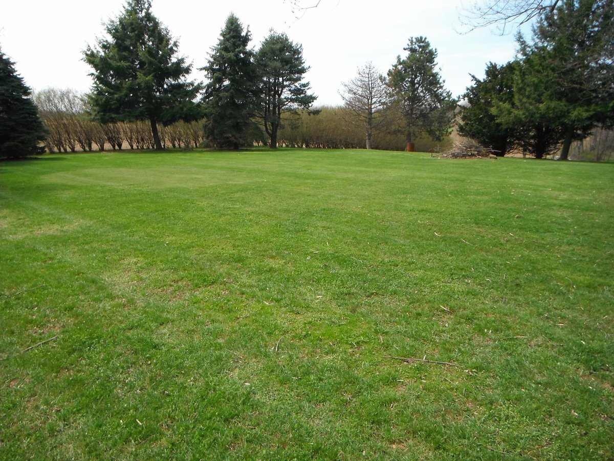 Thomas_F81's tweet photo. Spring has officially sprung now. Mowed my lawn for the first time this year. #WinterIsFinallyOver☀️🌱☘️🌷🌼🌻 https://t.co/X9DcGpmD9B