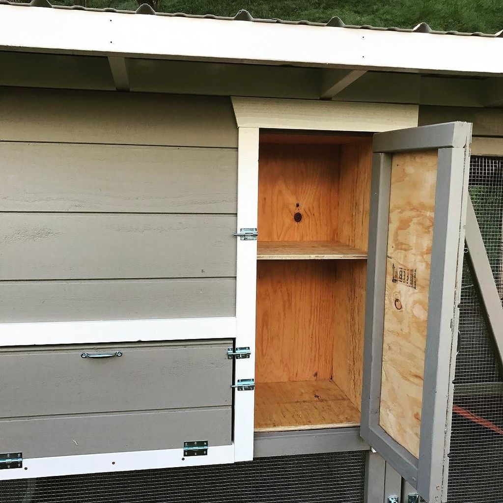 PaulRarePoultry's tweet photo. #closet #customcoops #shedcoop #chickenrun #chickencoop #chickenladder #coop https://t.co/Z6FAcjuMiA