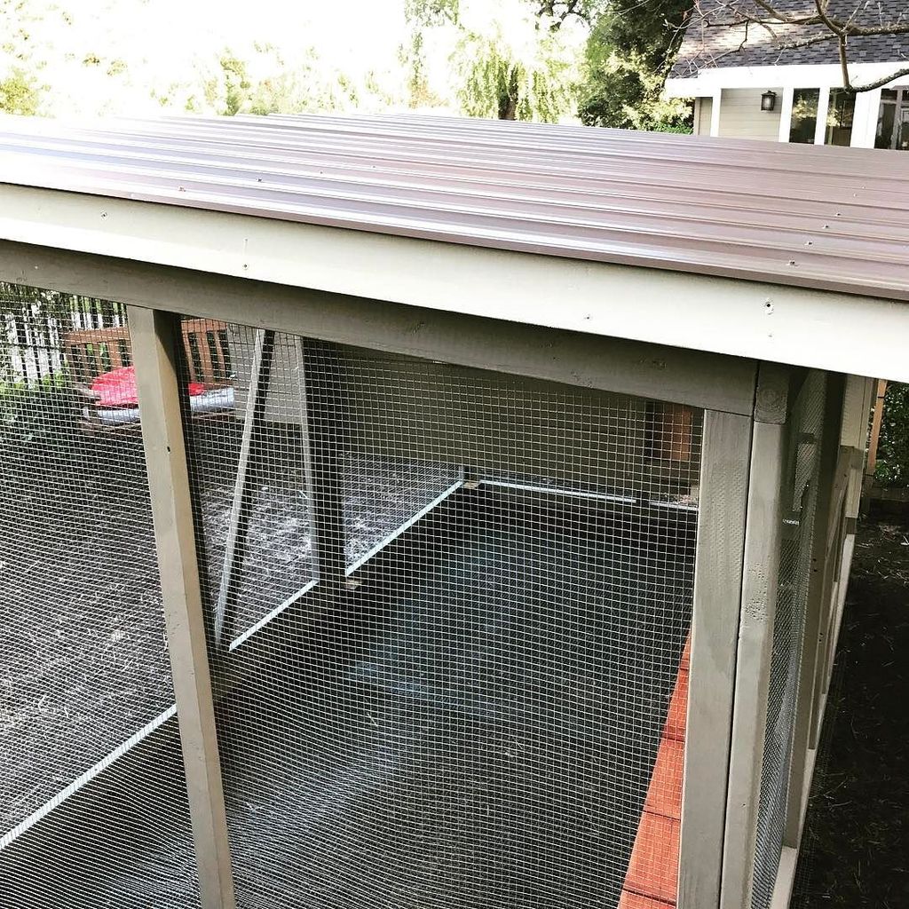 PaulRarePoultry's tweet photo. #chickenladder #chickencoop #chickenrun #shedcoop #coop https://t.co/ElT1oFa4Eo