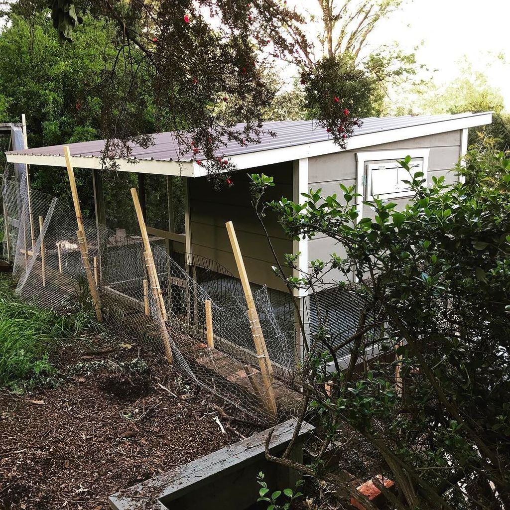 PaulRarePoultry's tweet photo. #chickenladder #chickencoop #chickenrun #shedcoop #shedcoop #coop #customcoops https://t.co/0z8guEc03K