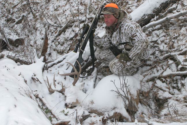 A Whitetail Lifespan and What We Can Do About It wordpress.com/stats/day/urba…