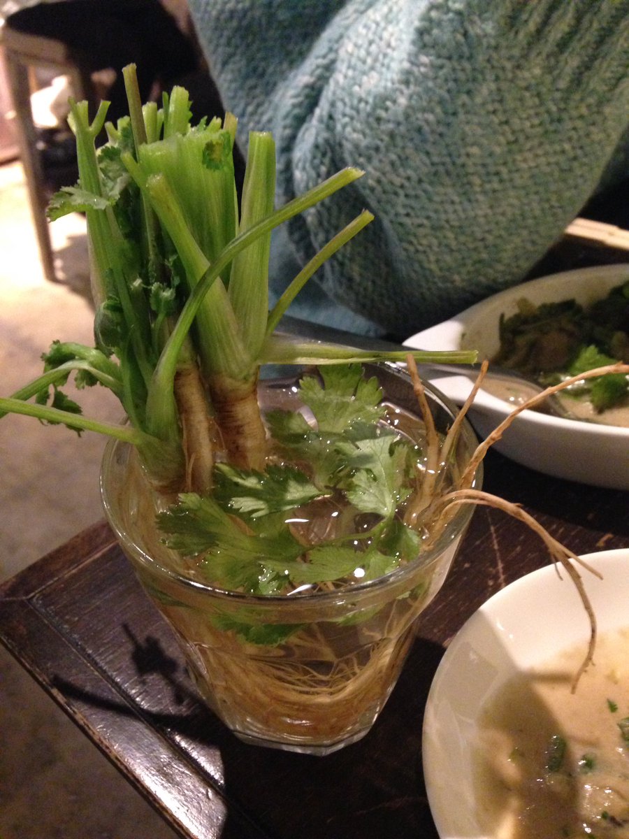 yt_computer's tweet image. Japanese Sake with root of coriander