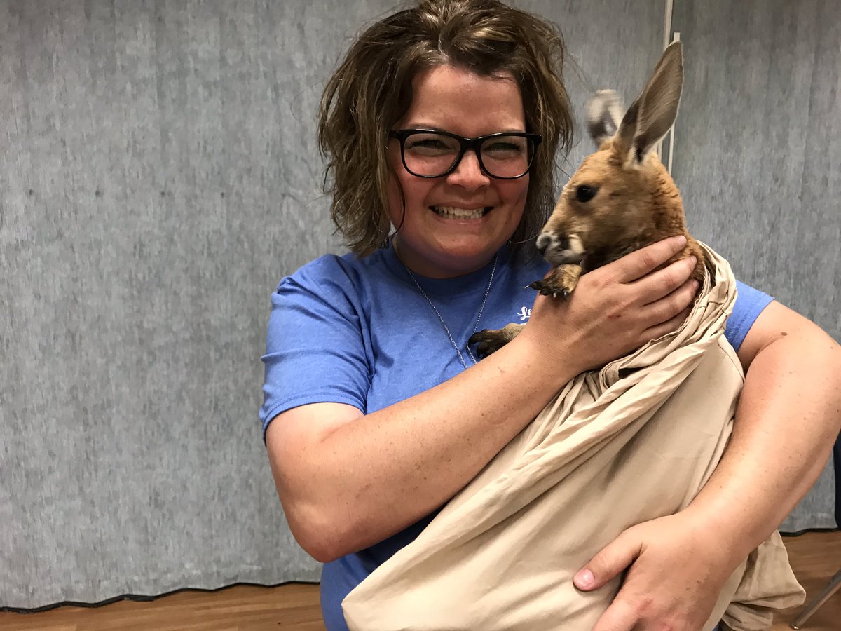 bizarre_ed's tweet photo. @TheEdsaneT never disappoints! Thank you for an awesome experience for our kids. And me. #whywisd #curtisel https://t.co/9rjhv6Vxto