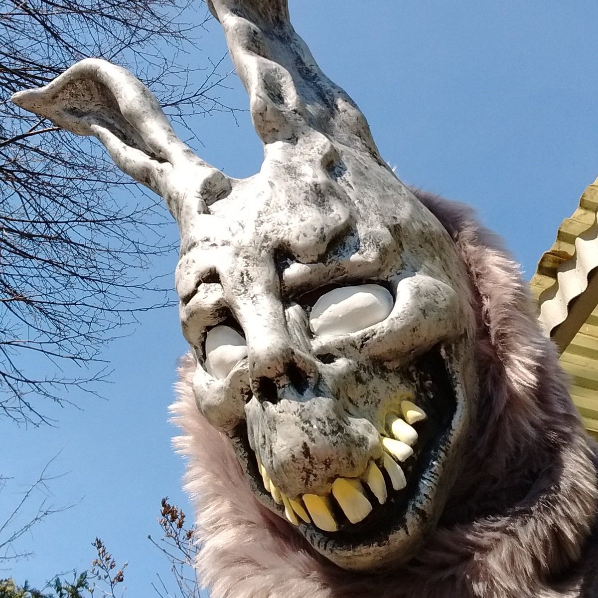 Wow today was super hot in Quebec! Here's a picture of me enjoying the sun: