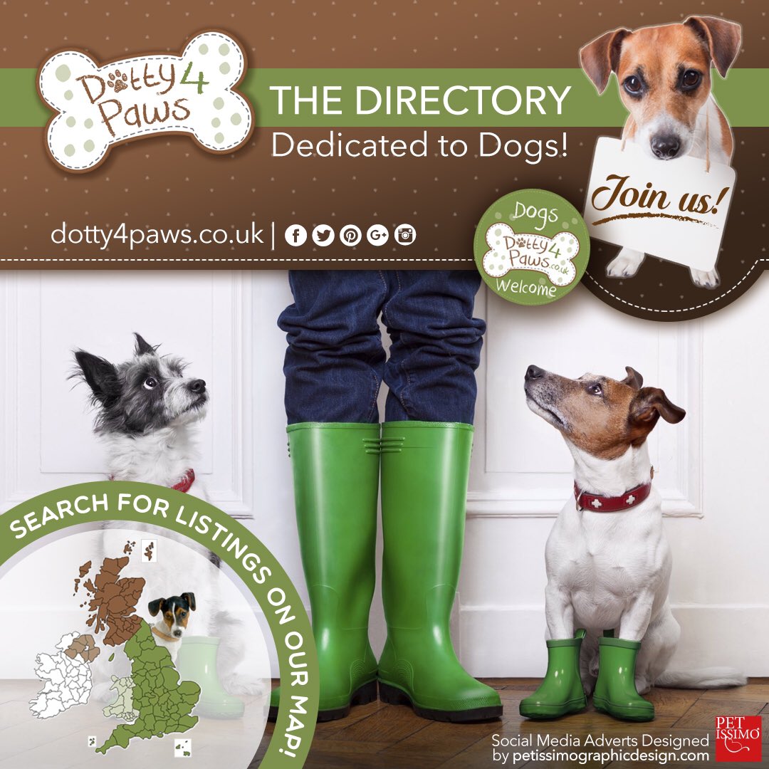 Dotty4Paws tweet media