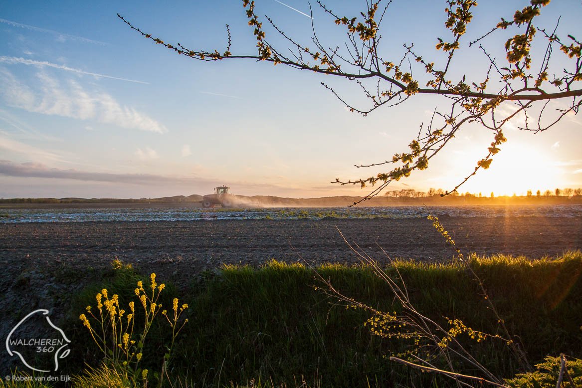 Vanavond tijdens #zonsondergang was een boer druk bezig met het inploegen van kalk op #Walcheren. Toch even de camera gepakt.