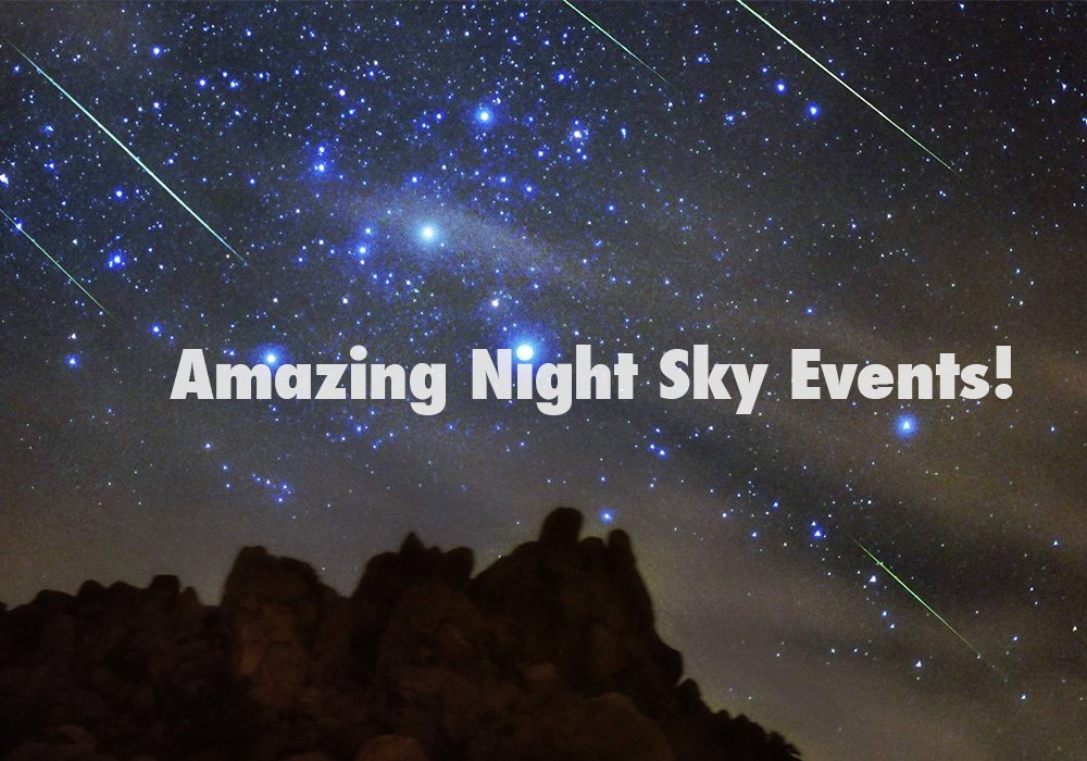 App Chick tweet media