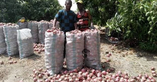Photos: A village in Borno state where a huge bag of onions costs only N3k dlvr.it/Ns1CRr
