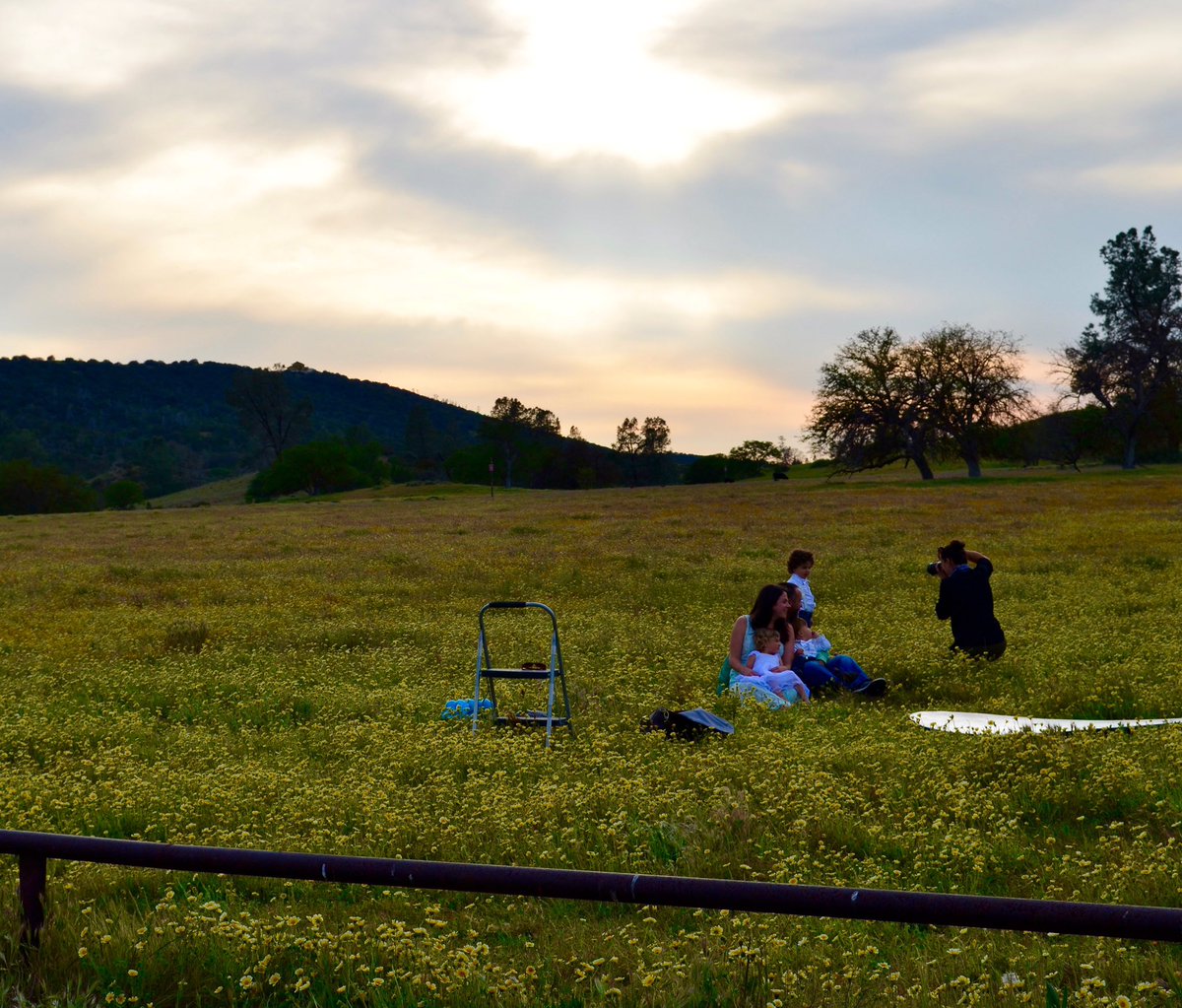 Wonderful Wildflowers... visit theslolane.com
#theslolane