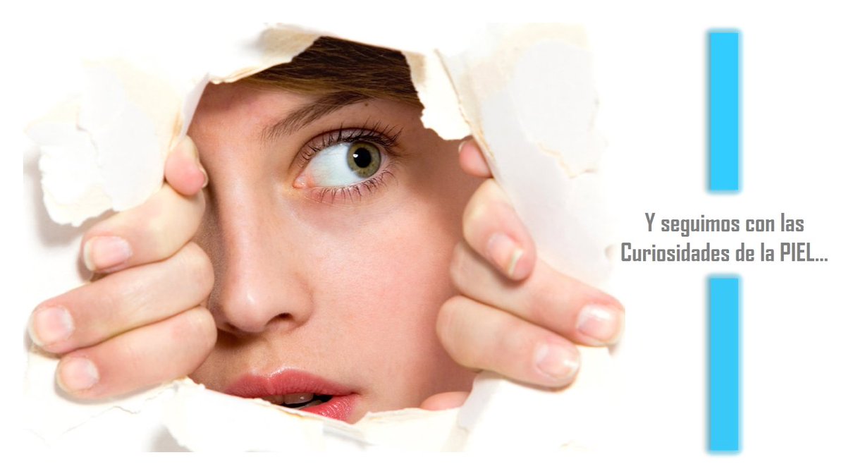 UNIDERM's tweet photo. #UNIDERM #dermotips #piel #cuidadodelapiel #estudioscientificos 🔍 https://t.co/icDmpwDl1x