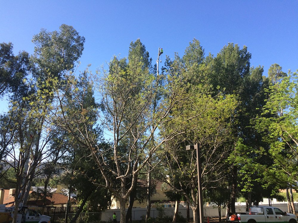 read thomas aquinas on god and