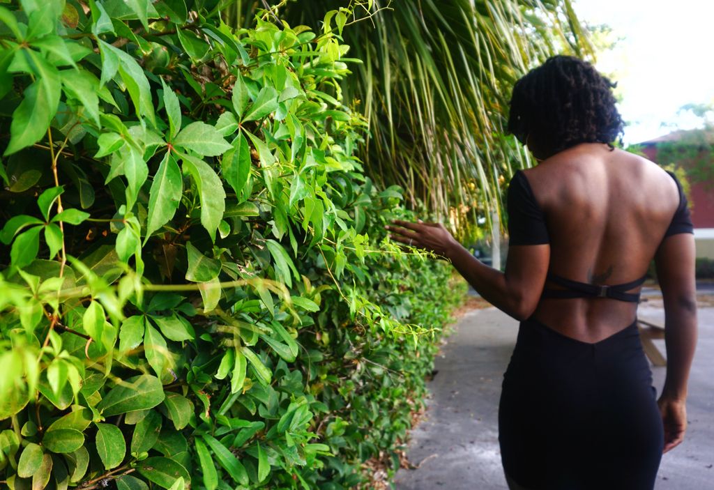 bahamianista242's tweet image. Nothing says sexy like a low back. buff.ly/2oghSdj #stylevideo #outfitpost #simpleootd #springstyle #styleblogger