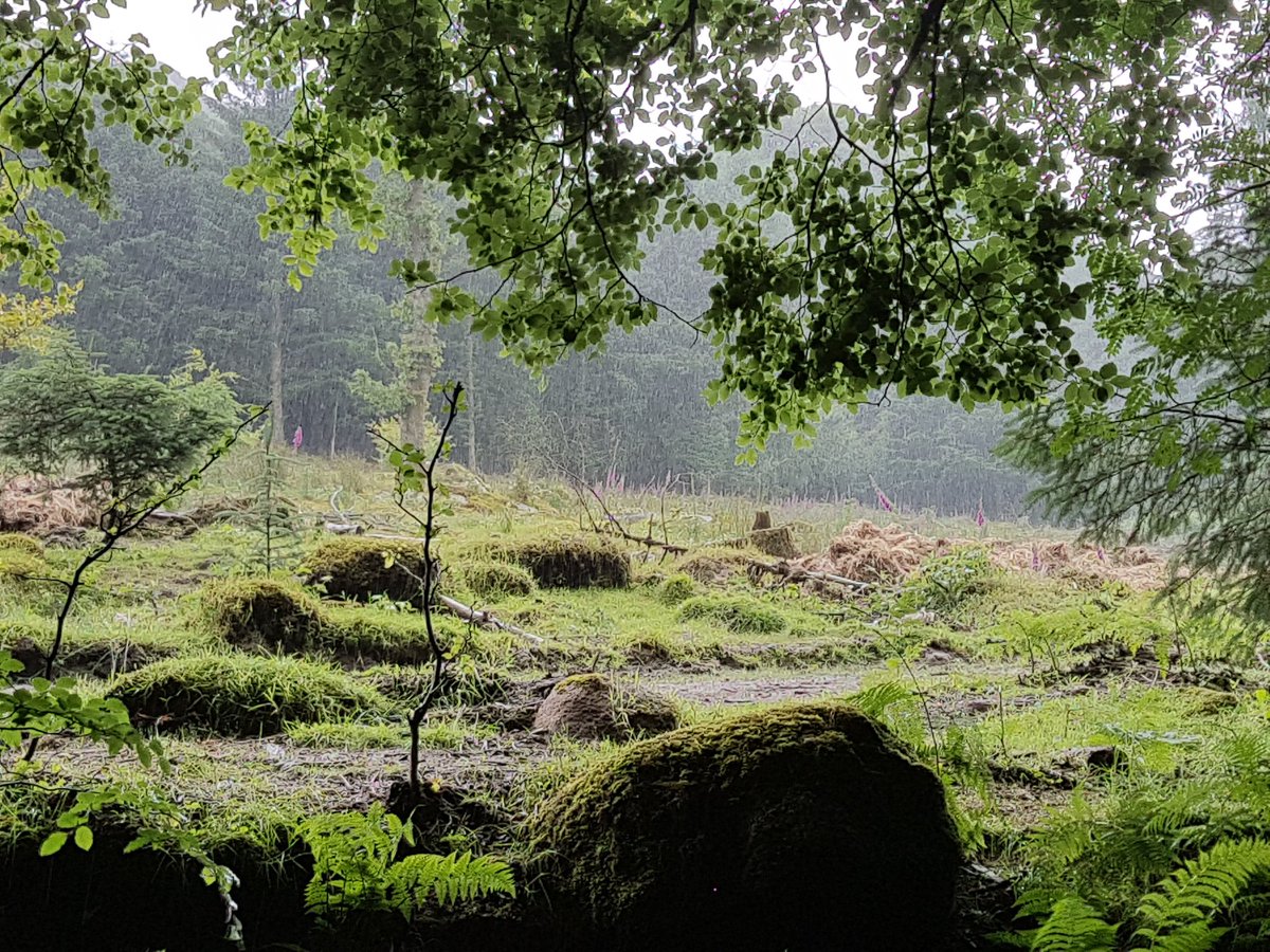 sfo_cornwall's tweet photo. We love spending time in #Nature
It's a great healer for both your #physical and #MentalHealth #Anxiety #Depression
#MyDailyIBD #Dartmoor https://t.co/Vqb4d97CvO