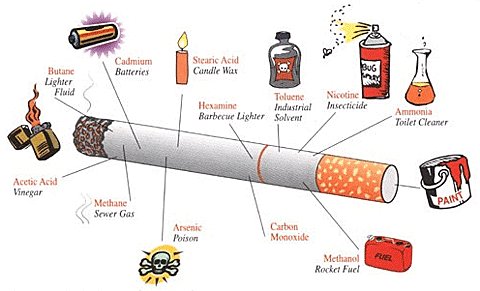 quitsmoking_14's tweet photo. Learn To Quit Smoking The Right Way The First Time  #EffectsOfSmoking https://t.co/VHDRomXKl2 https://t.co/EbcEpMjQeh