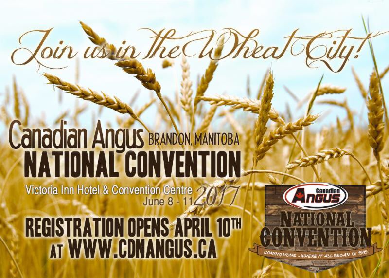 Our Convention registration is open! We hope to see you in Brandon this year. Register here: cdnangus.ca/activities-and…
