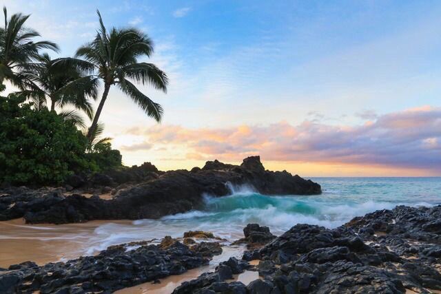 iIoveaesthetics's tweet photo. the faster I get to Hawaii the better https://t.co/VjnCAKQnfD
