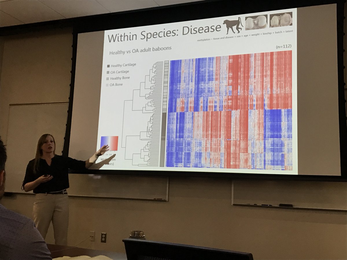 StoneLab_ASU's tweet photo. Congratulations Dr. @gahousman on a successful dissertation defense! #StoneLabVictory https://t.co/6iJuhSglD2