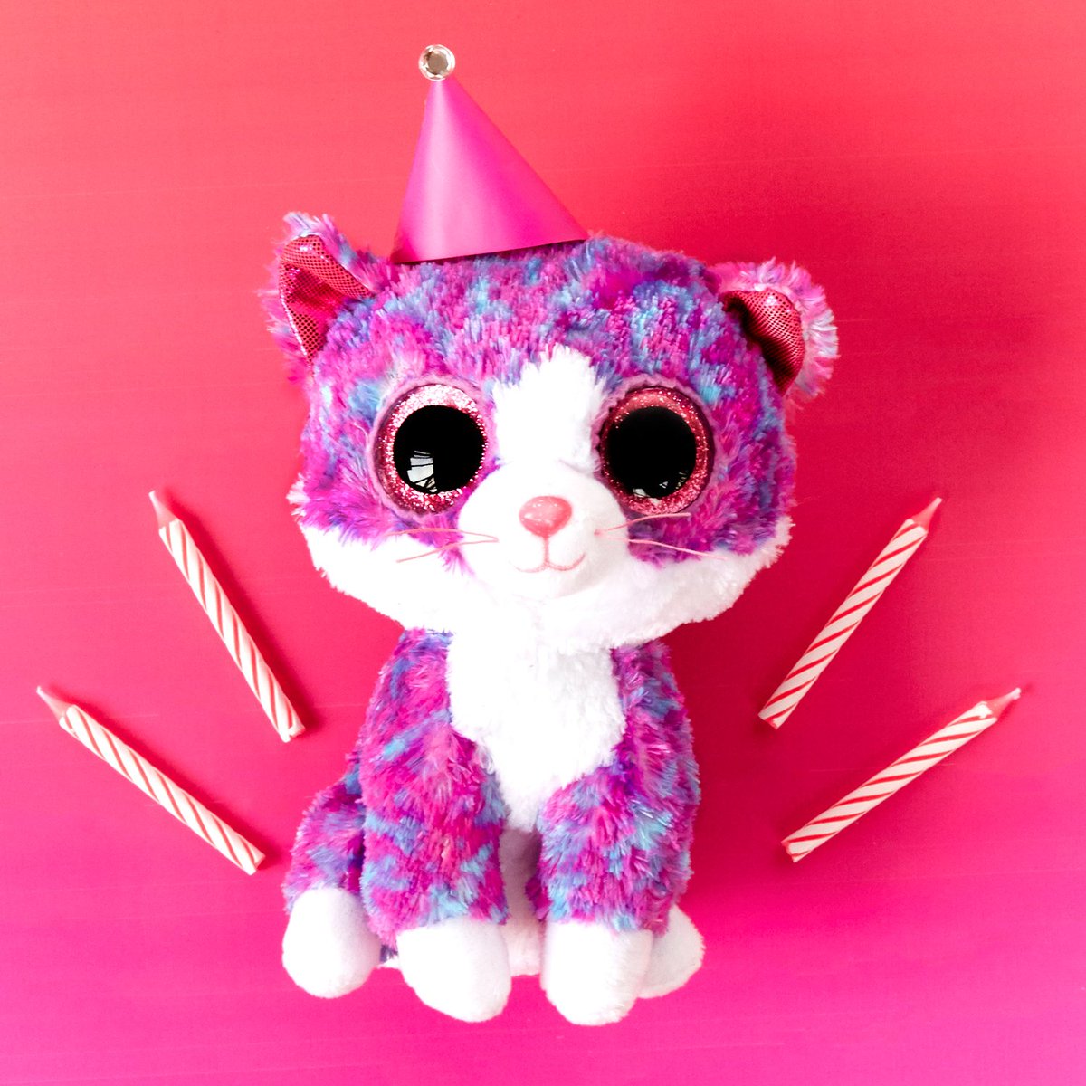 charlotte beanie boo