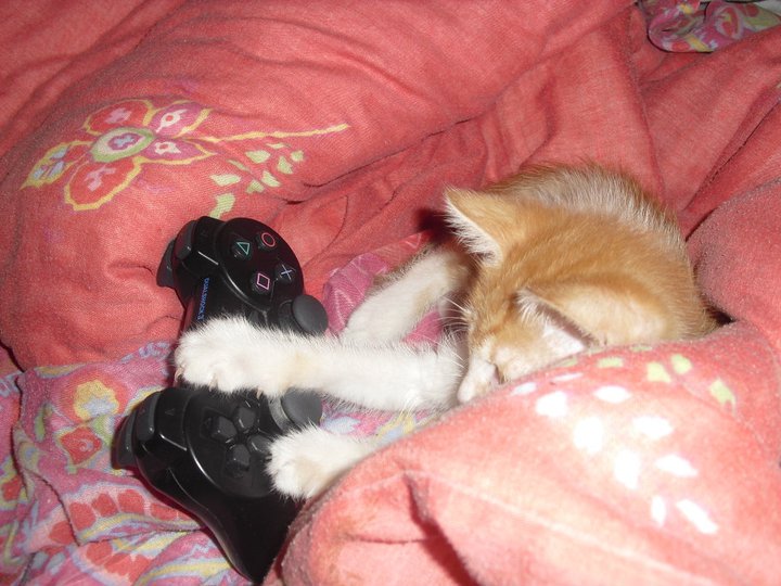 MaeGameuZe's tweet image. Bien sur !!!