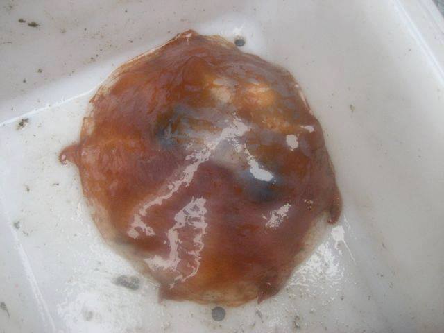 JustinCmith's tweet image. 