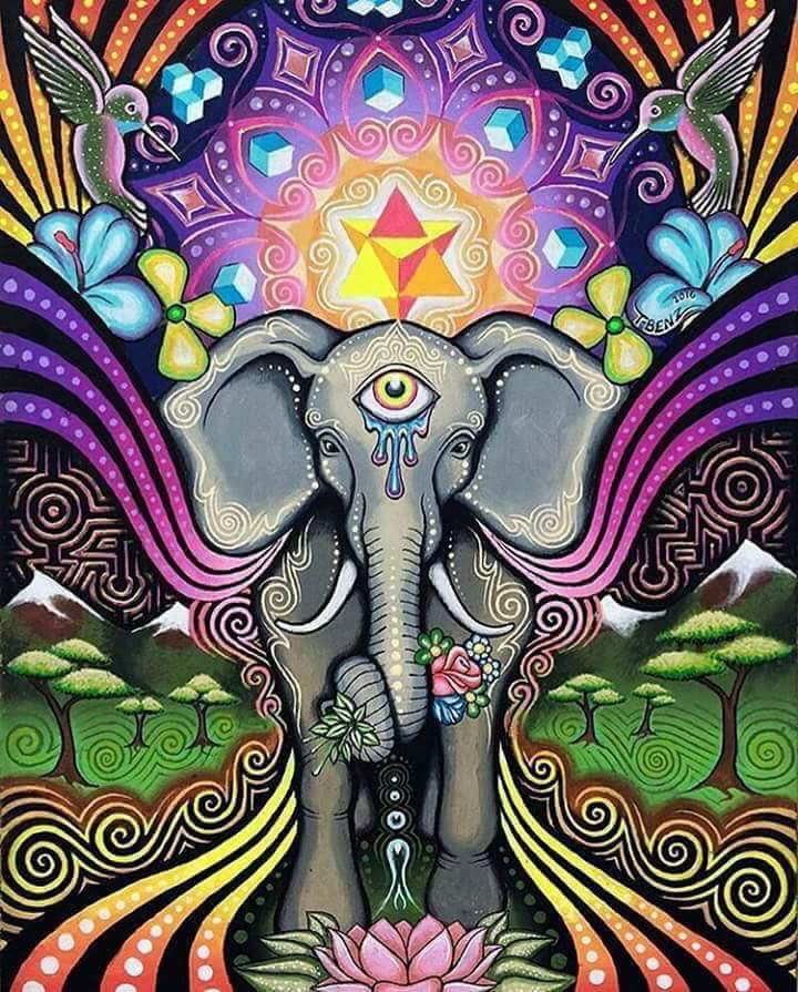 name47z's tweet photo. #elephant https://t.co/01Zxm2udXy