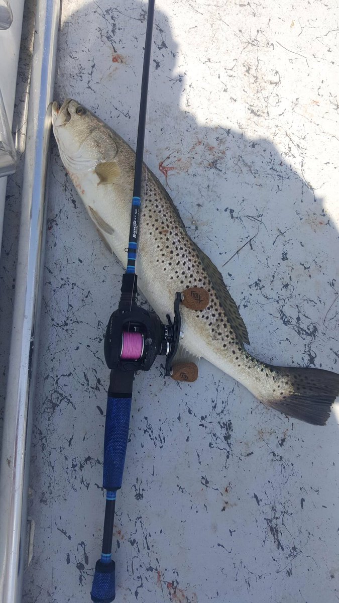 CaptLeal's tweet photo. Backlash Rod with @13fishing Concept A.  @ArroyoCity https://t.co/zPB6CMRou7