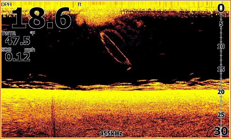 Maximum Catfishing tweet media