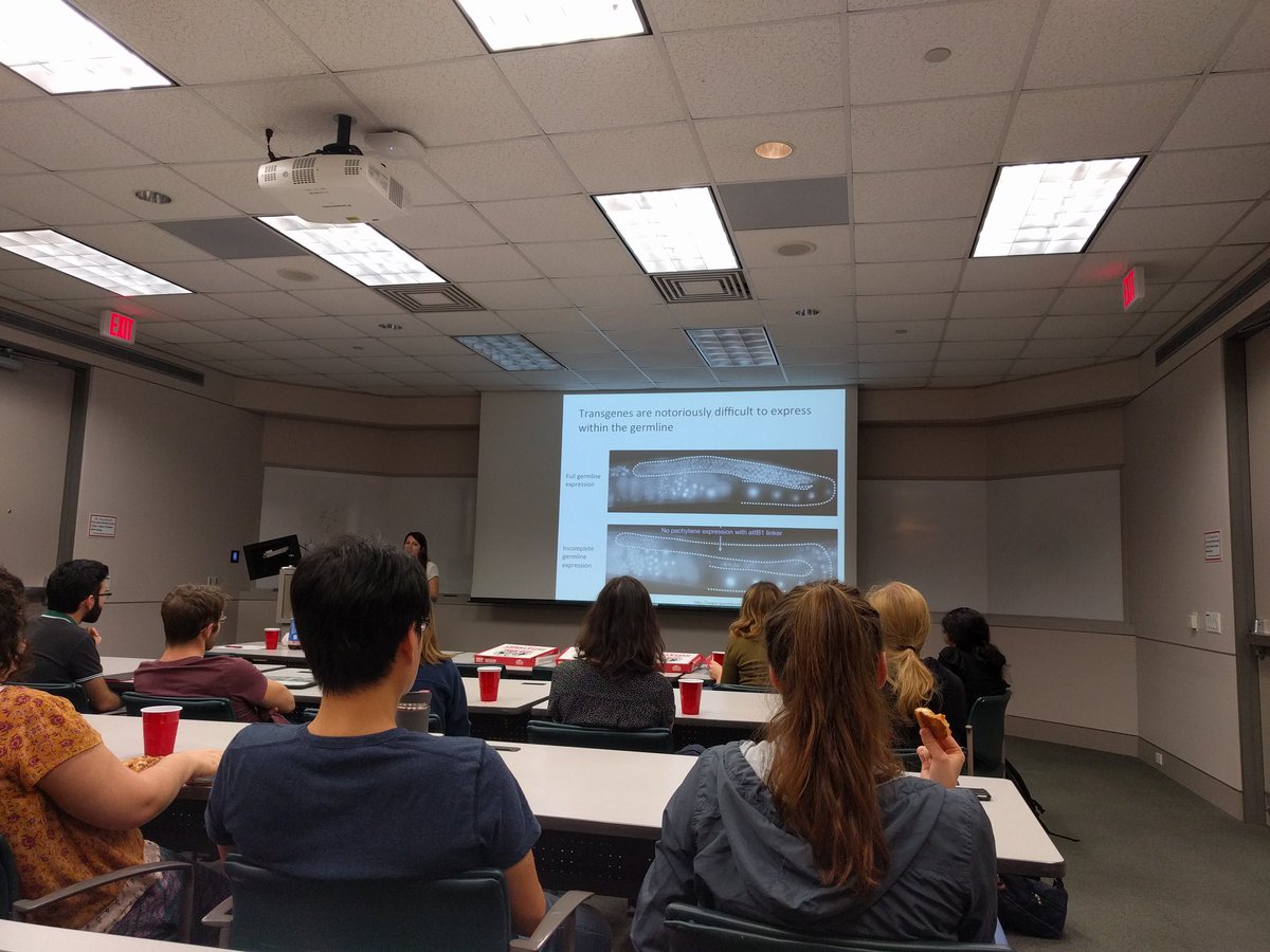 Diary of a fat mouse tweet media