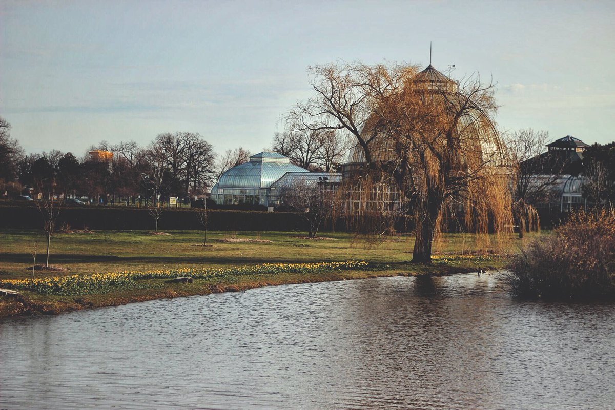 twinrj's tweet photo. Belle Isle 📸 #Detroit https://t.co/ojxev5z38U