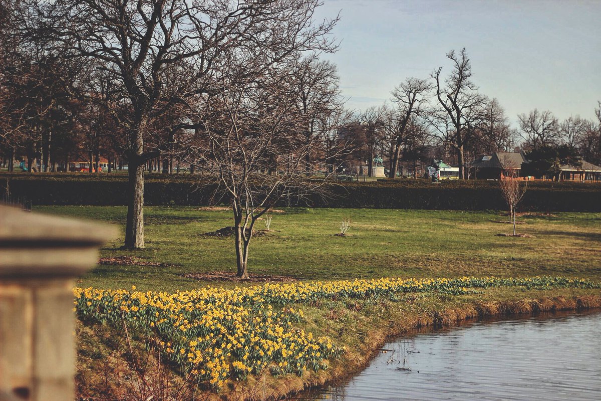 twinrj's tweet photo. Belle Isle 📸 #Detroit https://t.co/ojxev5z38U