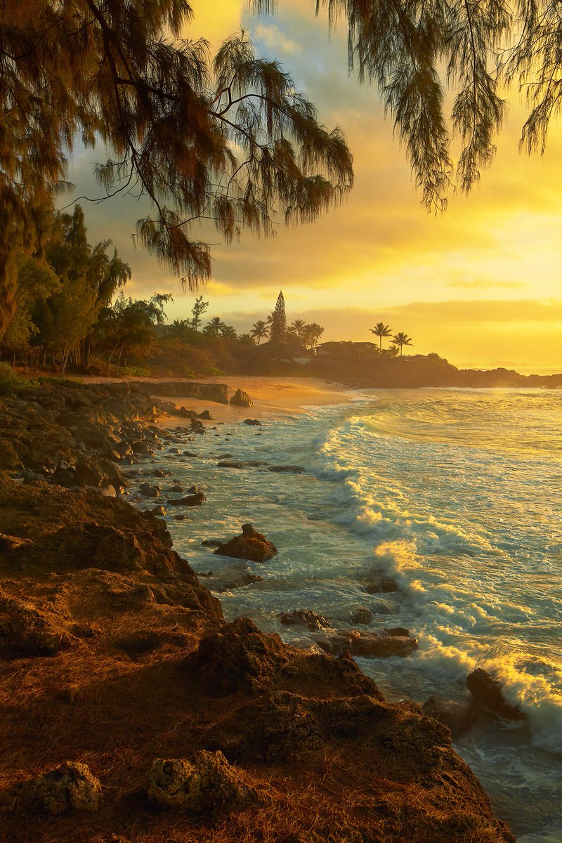 RejeanLandscape's tweet photo. Missing the Hawaiian sunsets!  Taken on the North Shore of #Oahu, #Hawaii.
#sunset https://t.co/umRDZmcdEm