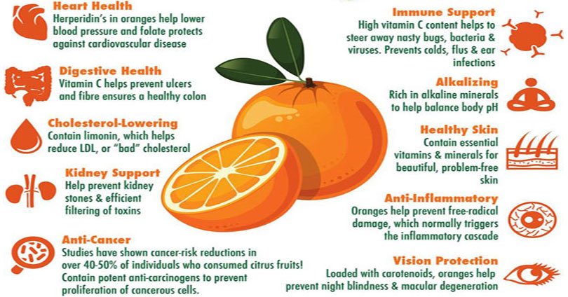 AHealthBlog's tweet photo. Oranges for #Healthy #Eyes ➡ https://t.co/aNm8Ev0u8G https://t.co/mFiF8K7YlL