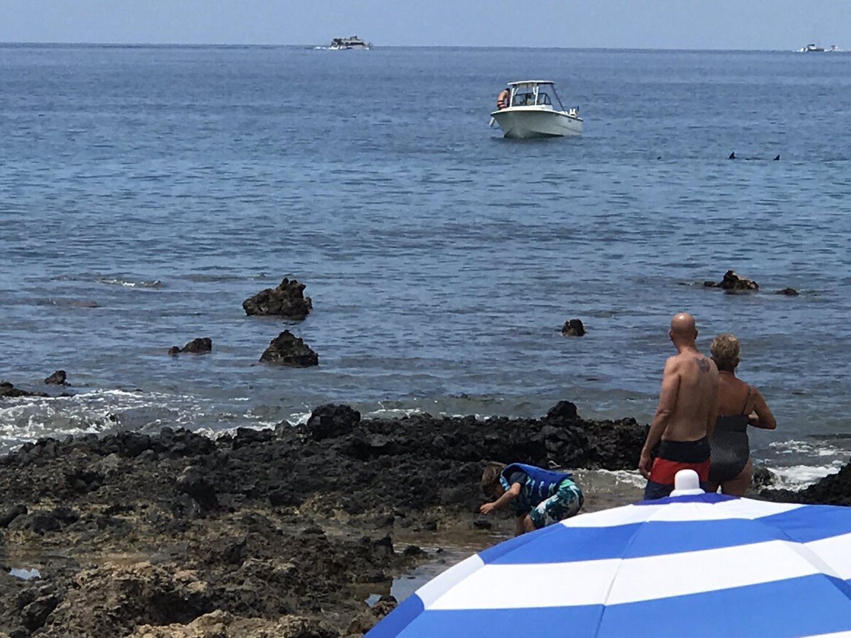 Roamancing's tweet photo. The excitement in our morning... do you see what we see in the water?!? #ISpy #dolphins! #CheckItOutWorld #MauiMoments #MauiMornings #Mahalo https://t.co/KoKDfTZOQo