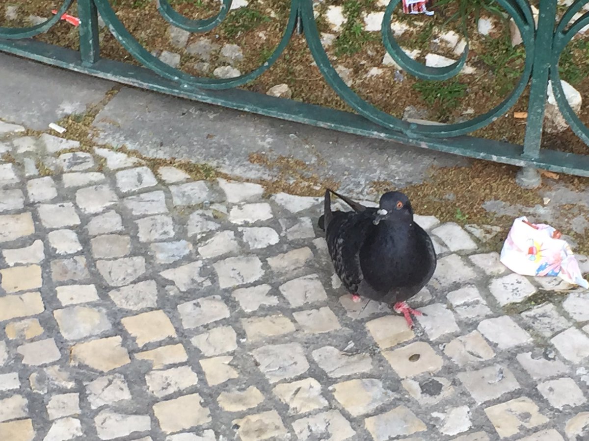 In Lisbon for tomorrow's <a href="/BremboBrakes/">Brembo</a> product launch at the historic Estoril Circuit. Excited to apply the binders at such a great venue.